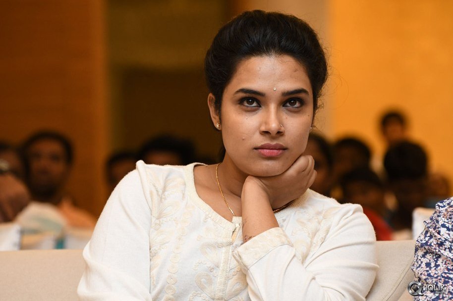 A-Aa-Movie-Success-Meet